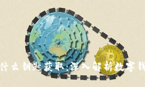 数字钱包依靠什么钥匙获取：深入解析数字钱包的安全机制