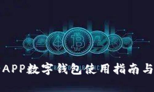 邮政银行APP数字钱包使用指南与优势解析