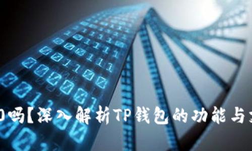 TP钱包支持BEP20吗？深入解析TP钱包的功能与支持的区块链标准