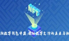 罗湖数字钱包中奖：揭秘数字支付的未来与机遇