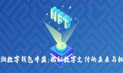 罗湖数字钱包中奖：揭秘数字支付的未来与机遇