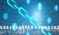 选择最合适的数字钱包软件：全面分析与推荐