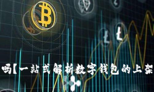 数字钱包能上架吗？一站式解析数字钱包的上架流程与注意事项