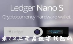   如何在小米13上开启数字钱包的详细指南