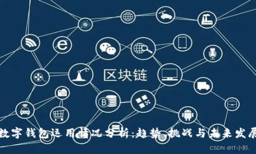 数字钱包运用情况分析：趋势、挑战与未来发展