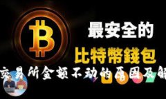 TP钱包交易所金额不动的原因及解决方案