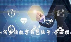 如何查询数字钱包编号：全面指南