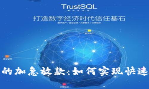 数字钱包的加急放款：如何实现快速资金周转