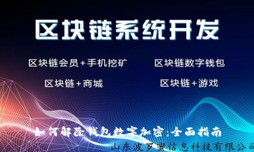 如何解除钱包数字加密：全面指南