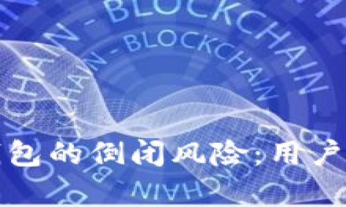 如何应对数字钱包的倒闭风险：用户指南与行业分析