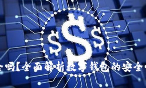 美金数字钱包安全吗？全面解析数字钱包的安全性及使用注意事项