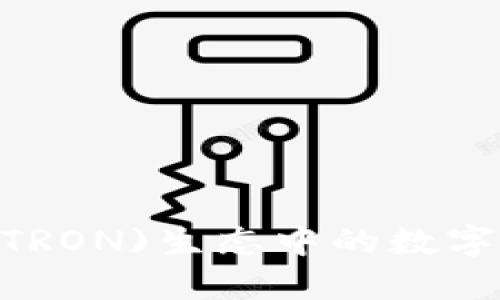 TP钱包：波场(TRON)生态中的数字资产管理工具