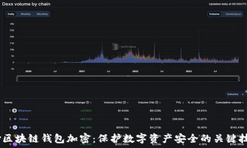   
div区块链钱包加密：保护数字资产安全的关键技术