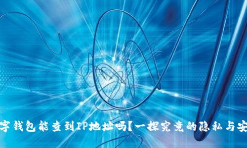数字钱包能查到IP地址吗？一探究竟的隐私与安全