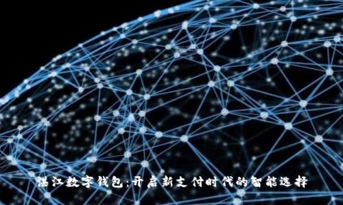 湛江数字钱包：开启新支付时代的智能选择