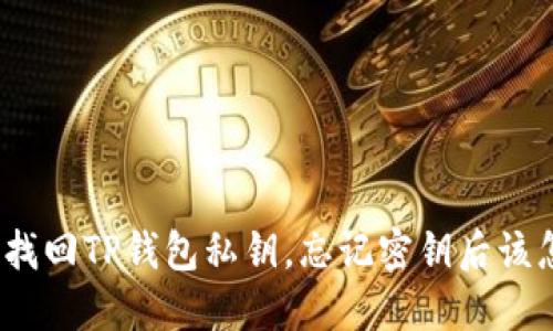 : 如何找回TP钱包私钥，忘记密钥后该怎么办？