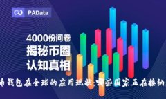 数字人民币钱包在全球的应用现状：哪些国家正