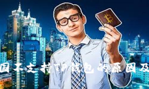 探讨中国不支持TP钱包的原因及其影响