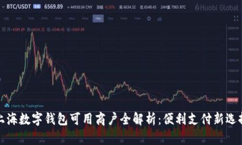 上海数字钱包可用商户全解析：便利支付新选择
