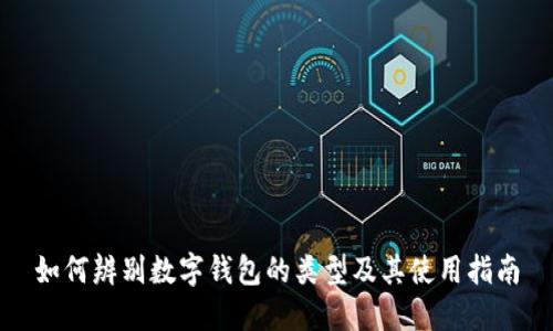 如何辨别数字钱包的类型及其使用指南