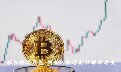 拍立数字钱包：创新的数字支付解决方案