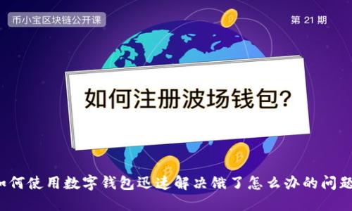 如何使用数字钱包迅速解决饿了怎么办的问题？