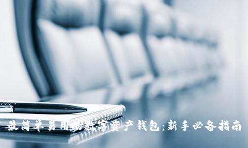最简单易用的数字资产钱包：新手必备指南