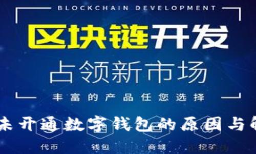 手机号未开通数字钱包的原因与解决方法