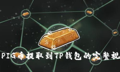 如何将PIG币提取到TP钱包的完整视频教程