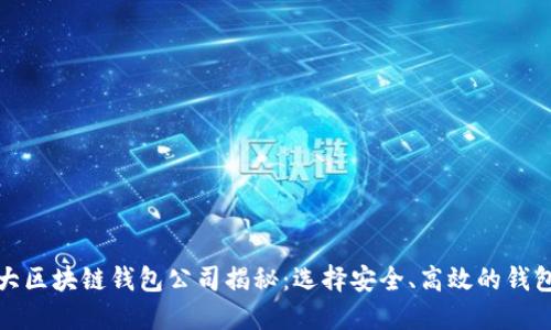国内十大区块链钱包公司揭秘：选择安全、高效的钱包是关键