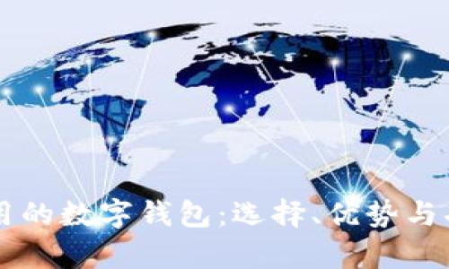 美国可用的数字钱包：选择、优势与功能解析