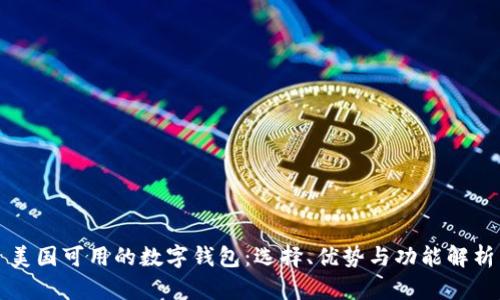 美国可用的数字钱包：选择、优势与功能解析