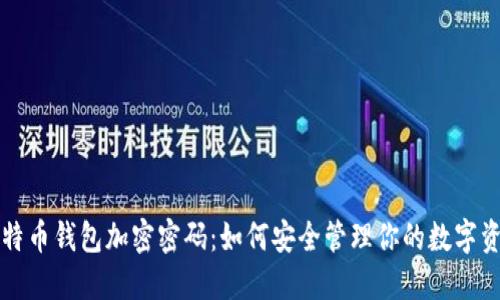 比特币钱包加密密码：如何安全管理你的数字资产
