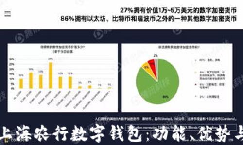 
全面解读上海农行数字钱包：功能、优势与使用指南