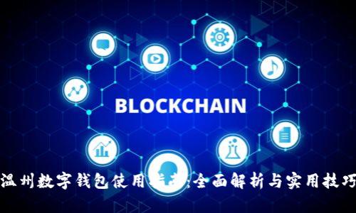 温州数字钱包使用指南：全面解析与实用技巧