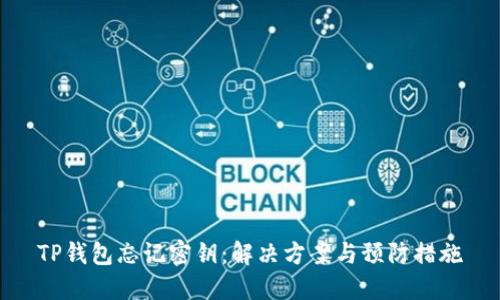 TP钱包忘记密钥：解决方案与预防措施