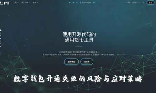 数字钱包开通失败的风险与应对策略
