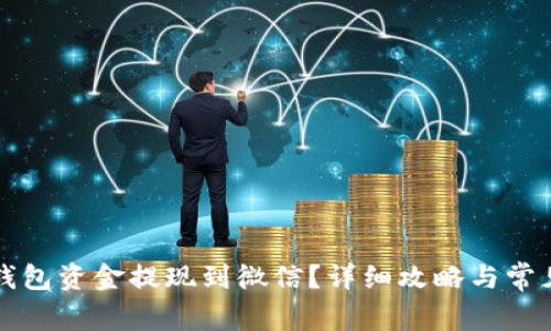 怎样将TP钱包资金提现到微信？详细攻略与常见问题解答