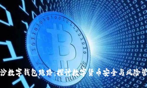 长沙数字钱包跑路：探讨数字货币安全与风险管理