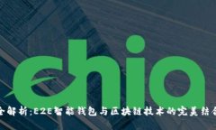 全解析：E2E智能钱包与区块链技术的完美结合