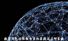 数字钱包被限制交易的原因与应对策略