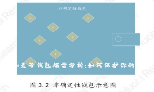 t p钱包和麦子钱包爆雷分析：如何保护你的数字资产？

 t p钱包和麦子钱包的安全性分析与投资风险评估 