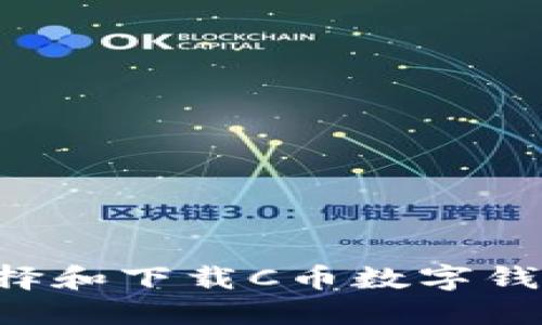 如何正确选择和下载C币数字钱包：全面指南