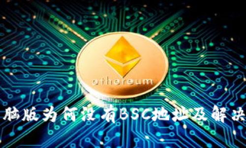 TP钱包电脑版为何没有BSC地址及解决方案分析