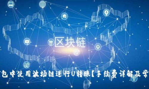 如何在TP钱包中使用波场链进行U转账？手续费详解及常见问题解答