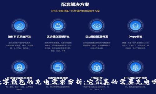 数字钱包的充电需求分析：它们真的需要充电吗？