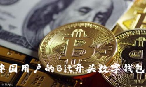 完美解读：适合中国用户的Bit开头数字钱包推荐与使用指南