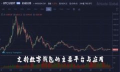支持数字钱包的主要平台与应用