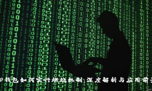TP钱包如何实行燃烧机制：深度解析与应用前景