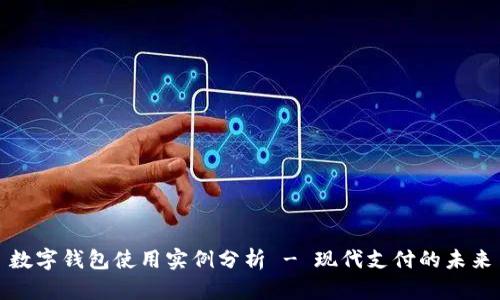 数字钱包使用实例分析 - 现代支付的未来
